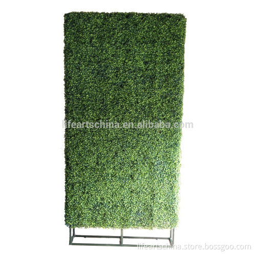big and high boxwood hedge, artificial grass, grass fence, grass wall